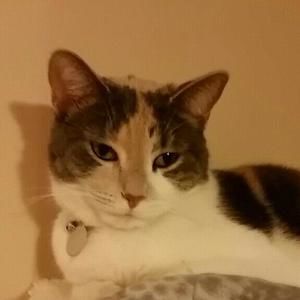 Meet your Posher, Sheri